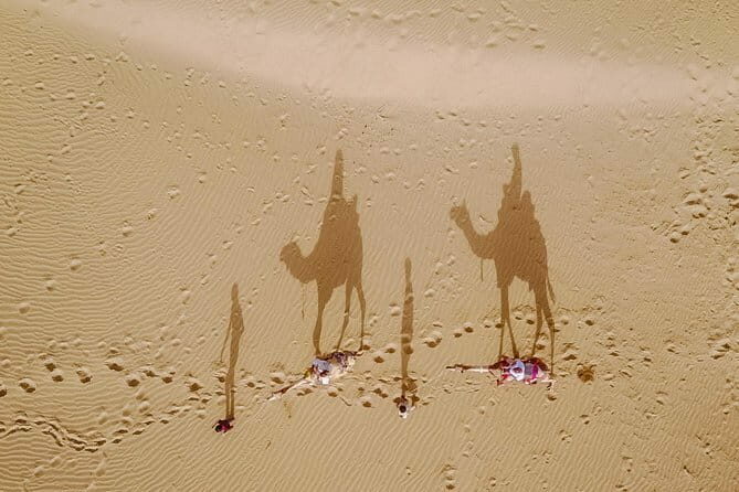 Overnight Desert Adventure Safari - Morning Departure - Final Thoughts: Is This Tour Right for You?