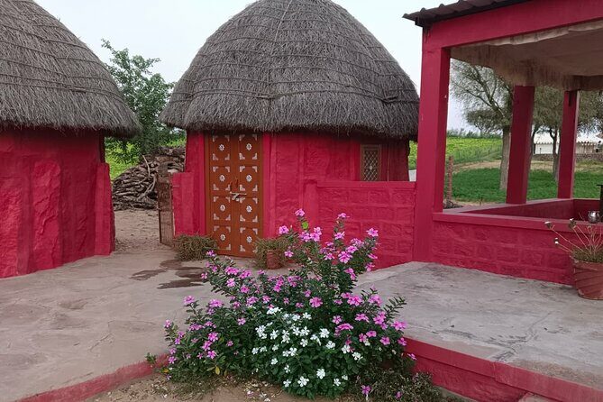 Overnight Desert Stay with Camel Safari and Homemade Food - OM - Why This Tour Is Special