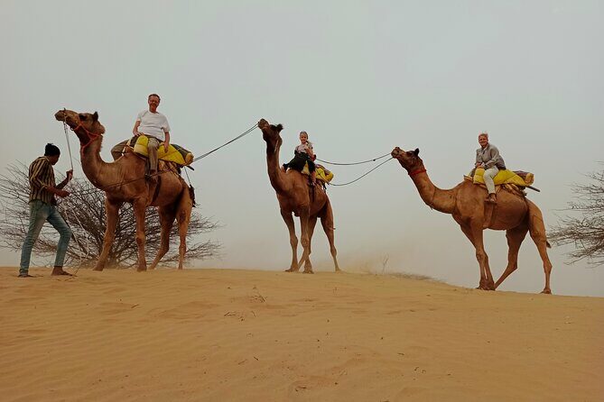 Overnight Desert Stay with Camel Safari and Homemade Food - OM - Final Thoughts