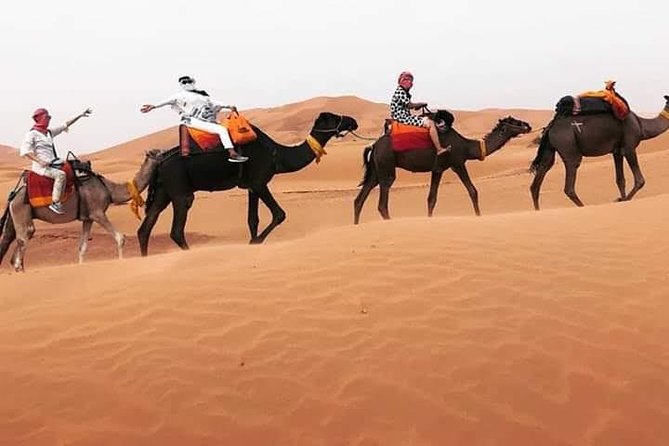 Overnight Desert Tours From Fez to Fez - Transportation Details