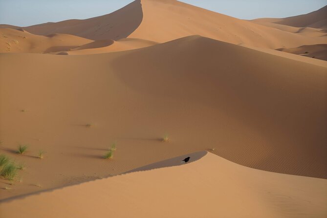 Overnight Desert Tours From Fez to Fez - Health and Safety