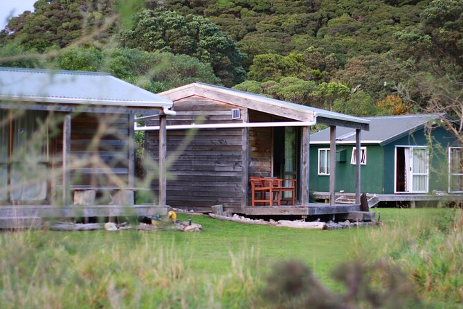 Overnight Experience Tour on Kapiti Island - Included in the Tour