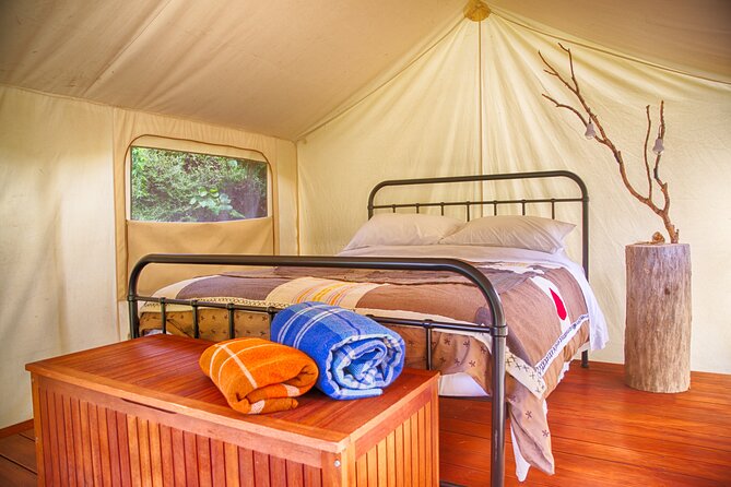 Overnight Experience Tour on Kapiti Island - Meeting and Travel Details
