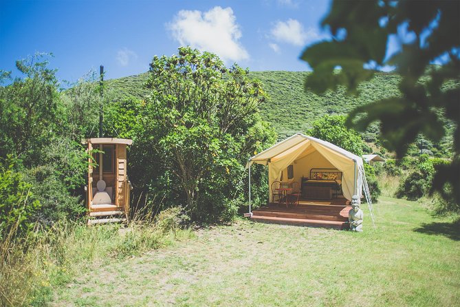 Overnight Experience Tour on Kapiti Island - Feedback and Reviews