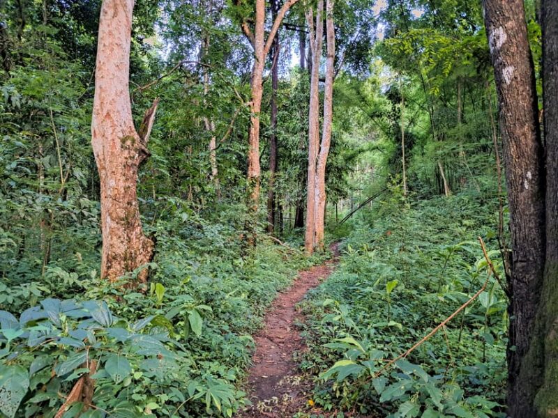 Overnight High Mountain Trek and Homestay Experience - Homestay Experience