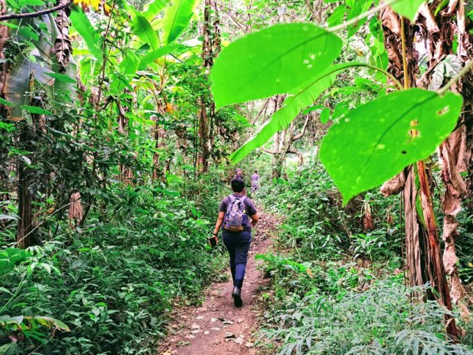 Overnight High Mountain Trek and Homestay Experience - Safety and Precautions