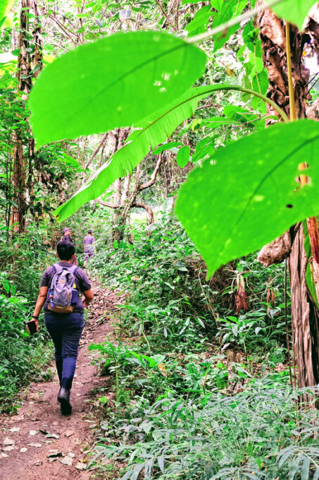 Overnight High Mountain Trek and Homestay Experience - Pricing and Booking