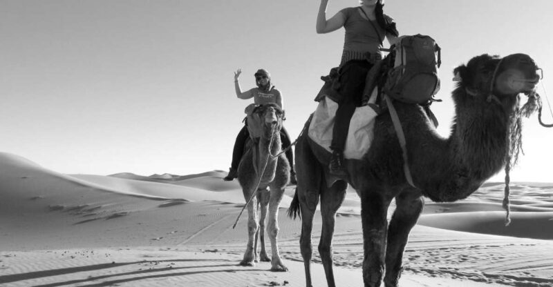 Overnight in Camp With Camel Ride, Meals & Sandboarding - Key Points