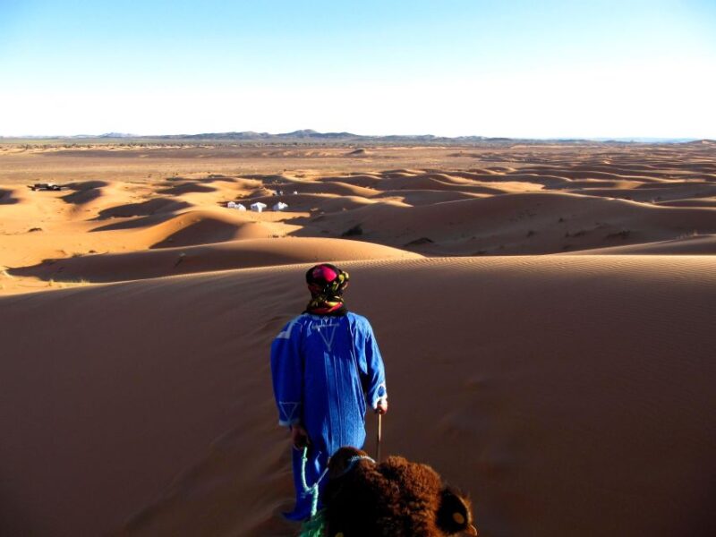 Overnight in Camp With Camel Ride, Meals & Sandboarding - Important Details