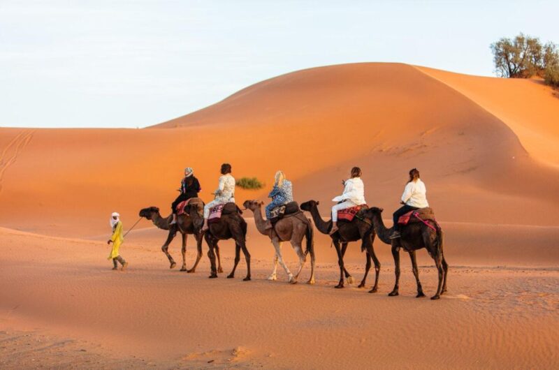 Overnight in Merzouga Desert Camp With Camel Rides and Food - Itinerary Details