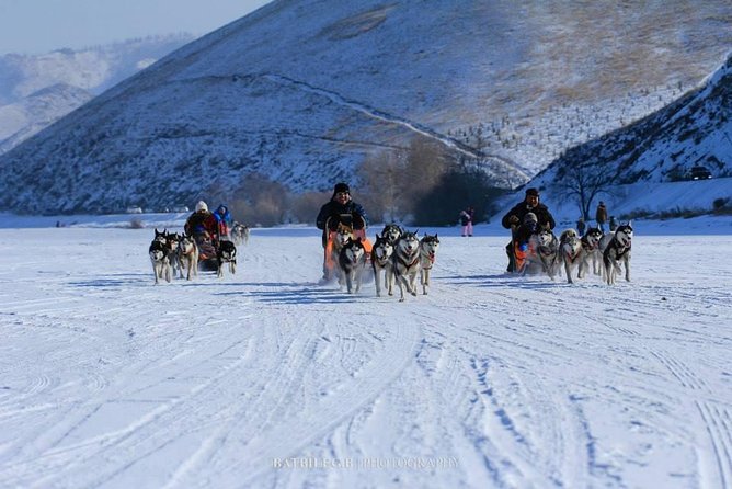 Overnight in Terelj With Nomadic Family Including FREE Horse Ride and Dog Sled - Customer Feedback