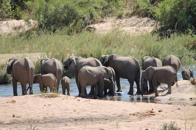 Overnight Kruger National Park Classic Camping Safari - Park Fees and Guide