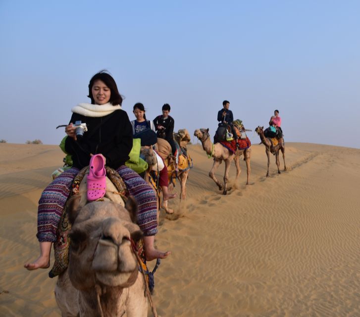 Overnight Luxury Desert Camping With Camel Safari - Experience Highlights