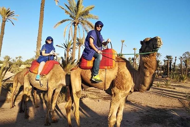 Overnight Luxury Desert Trip Form Fez To Fez - Transportation Details