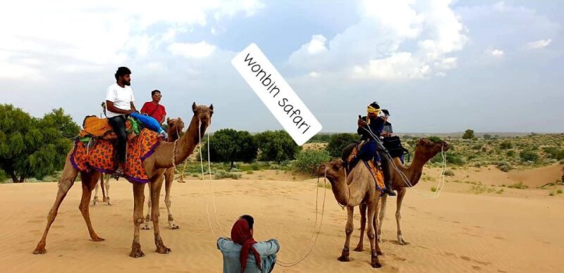 Overnight Luxury Safari by Wonbin Safari - Experience and Itinerary