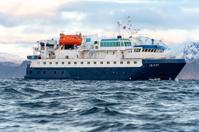 Overnight Northern Lights and Whale Safari - Safety and Accessibility