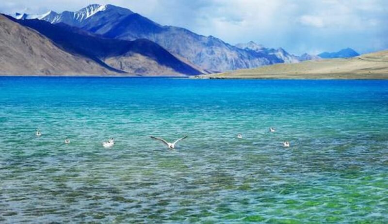 Overnight Pangong Tour From Leh & Thikse , Hemis Monasteries - Important Information