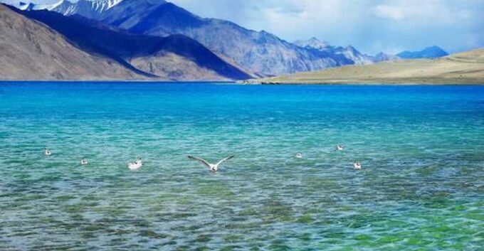 Overnight Pangong Tour From Leh & Thikse , Hemis Monasteries - Recap