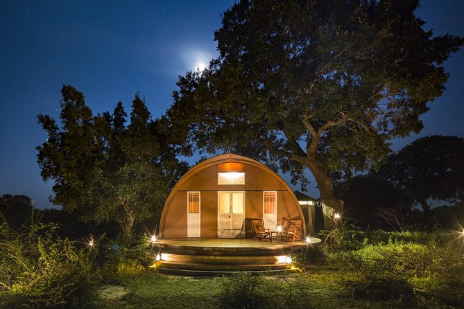 Overnight Private Leopard Safari With Luxury Tented Camping - Itinerary: Morning Nature Trek and Departure