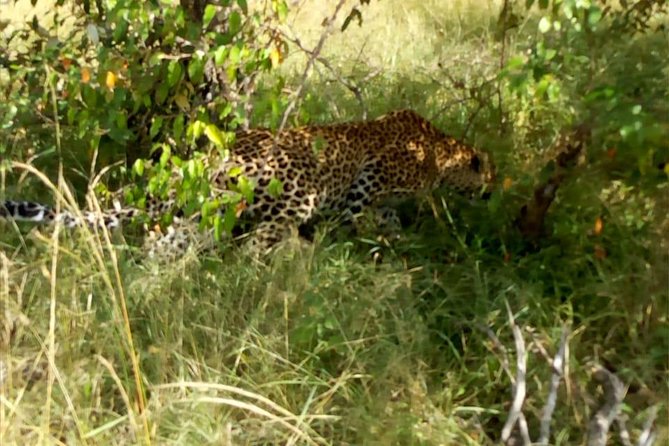 Overnight Safari To Maasai Mara - Pickup and Timing