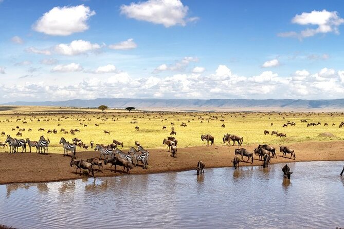 Overnight Safari To Maasai Mara - Accessibility Details