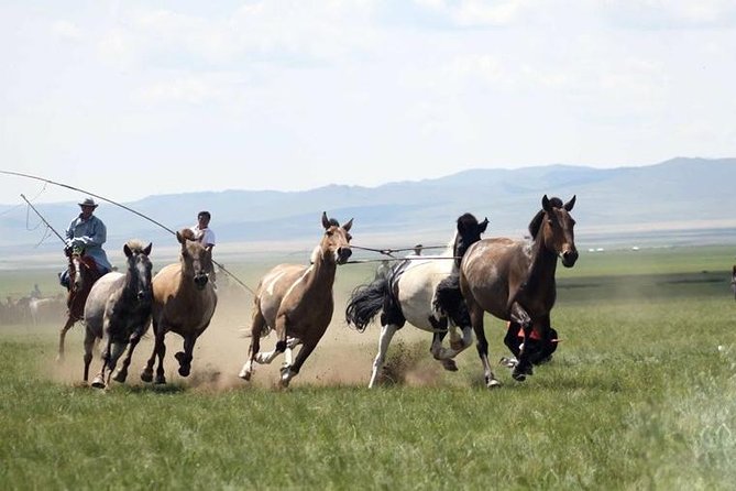 Overnight Semi-Gobi Tour With Nomadic Homestay - Meeting and Pickup Information