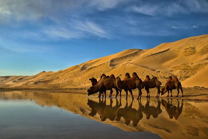 Overnight Semi-Gobi Tour With Nomadic Homestay - Ulaanbaatar Departure and Return