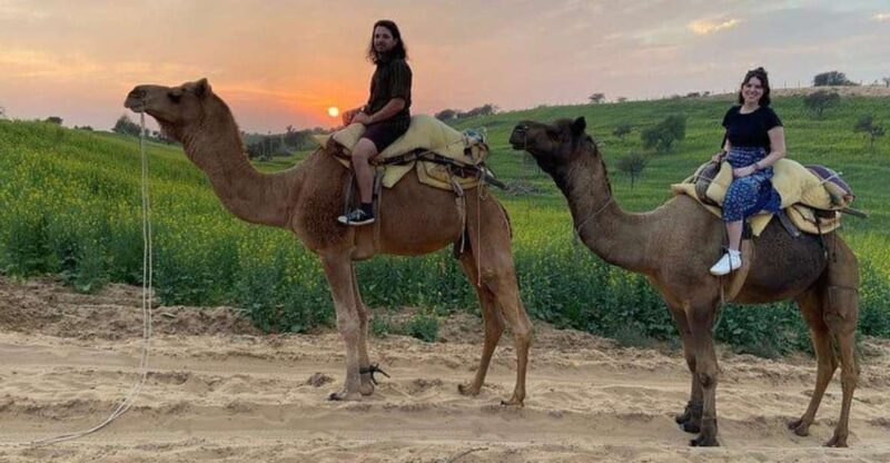 Overnight Stay In Desert Jodhpur - Experience Highlights