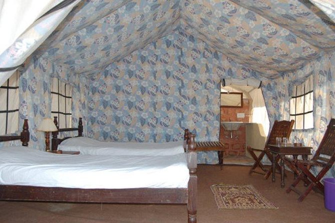 Overnight Stay In Swiss Tent With Camel Safari & Folk Dance - Key Points
