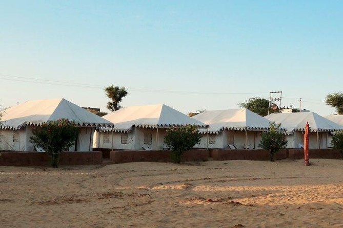 Overnight Stay In Swiss Tent With Camel Safari & Folk Dance - Customer Feedback and Ratings
