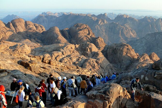 Overnight Sunrise Tour to Mount Sinai From Sharm El Sheikh - Logistics and Coordination