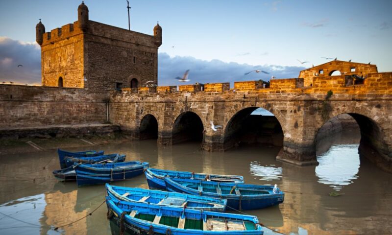 Overnight Surf Trip to Essaouira and Sidi Kaouki - Itinerary Highlights