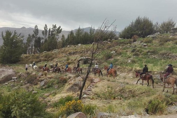 Overnight Tour: Colca Canyon Including Horse Riding From Arequipa - Physical Fitness Requirement