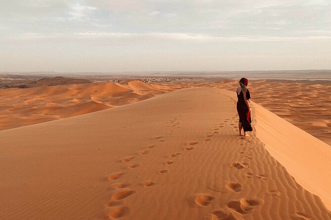 Overnight Tour From Fes to Sahara Desert - Group Size