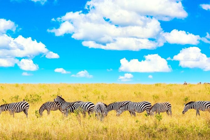 Overnight Tour in Amboseli National Park From Nairobi - Pickup Information