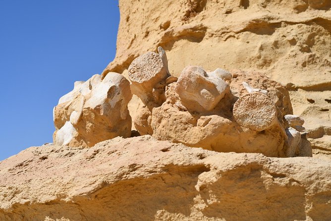 Overnight Trip to Fayyom Oasis, Wadi El-Hitan & Wadi El-Rayyan - Accessibility