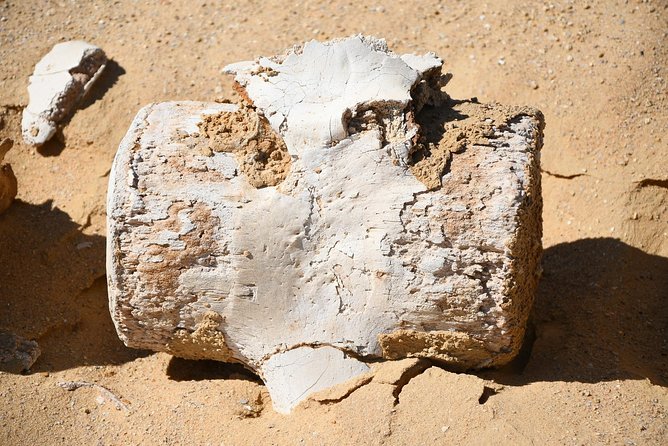 Overnight Trip to Fayyom Oasis, Wadi El-Hitan & Wadi El-Rayyan - Experience and Logistics