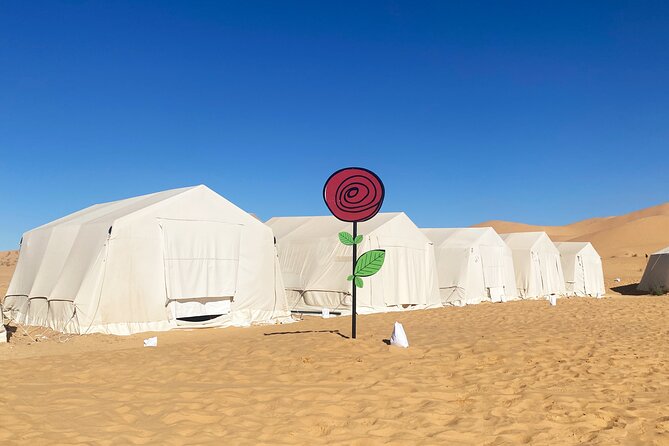 Overnight Tunisia Sahara Desert Safari by 4x4 From Douz - Reviews and Experiences
