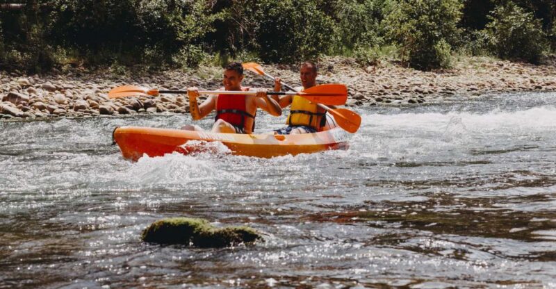 Oviedo: Canoe Descent on the Nalón River With Picnic - Key Points