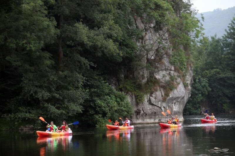 Oviedo: Canoe Descent on the Nalón River With Picnic - Frequently Asked Questions