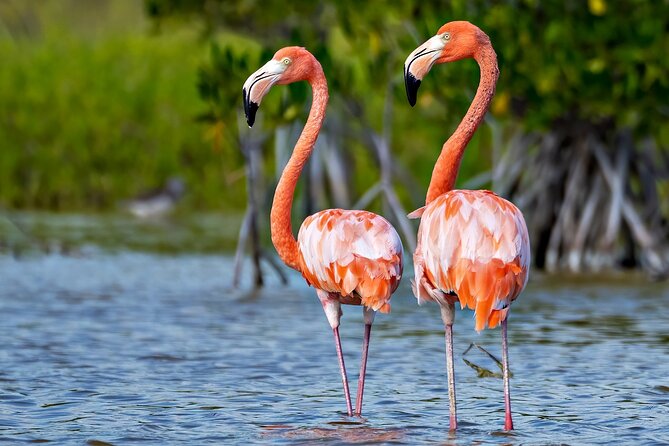 Oviedo Lagoon, ALL INCLUSIVE Experience From Barahona - Transportation Options Available