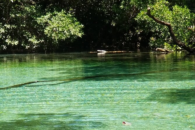 Oviedo Lagoon + Salado Stream, ALL INCLUSIVE, From Pedernales - Schedule & Availability