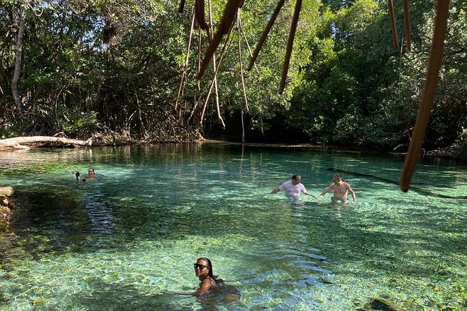 Oviedo Lagoon + Salado Stream, ALL INCLUSIVE, From Pedernales - Lagoon Exploration
