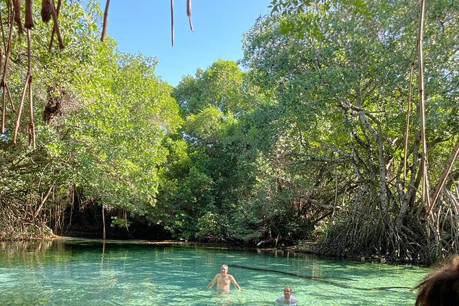 Oviedo Lagoon + Salado Stream, ALL INCLUSIVE, From Pedernales - Stream Adventure