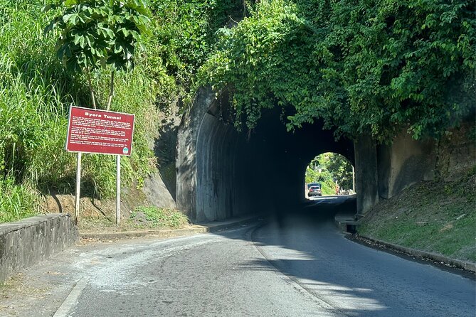 Owia Salt Pond Tour and Black Point Tunnel With Topdawg Taxi and Tours - Discovering Black Point Tunnel