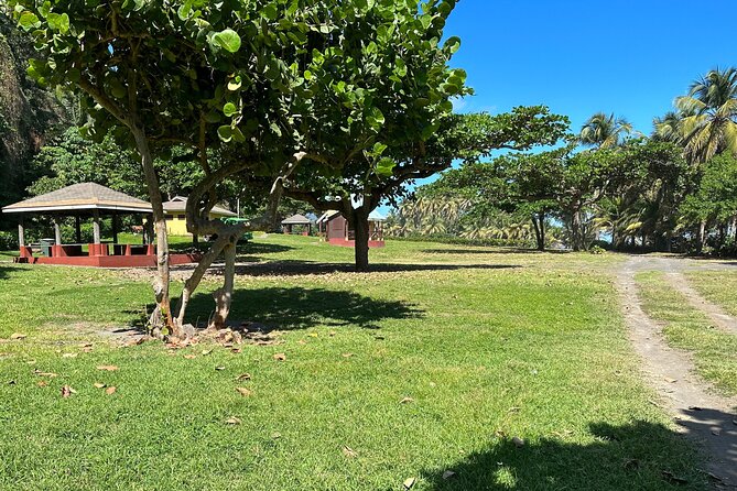 Owia Salt Pond Tour and Black Point Tunnel With Topdawg Taxi and Tours - Traveler Experiences