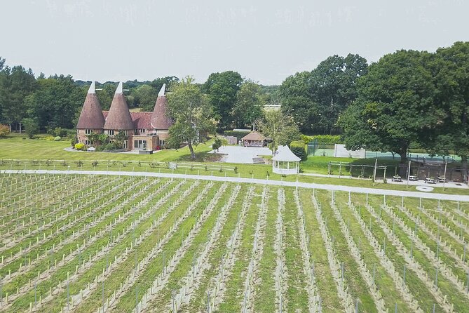 Owners Vineyard Tour and Tasting at Oastbrook - Accessibility and Participation
