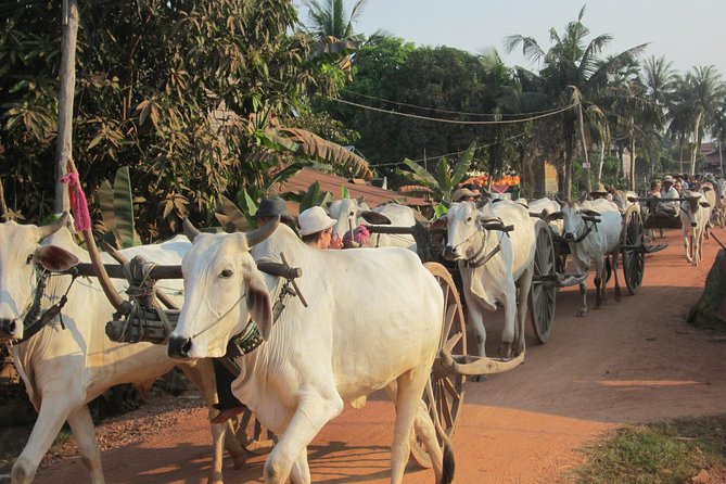 Ox-cart Culture Tour, Countryside Experince in Siem Reap - Inclusions and Pricing