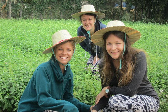 Ox-cart Culture Tour, Countryside Experince in Siem Reap - Additional Resources