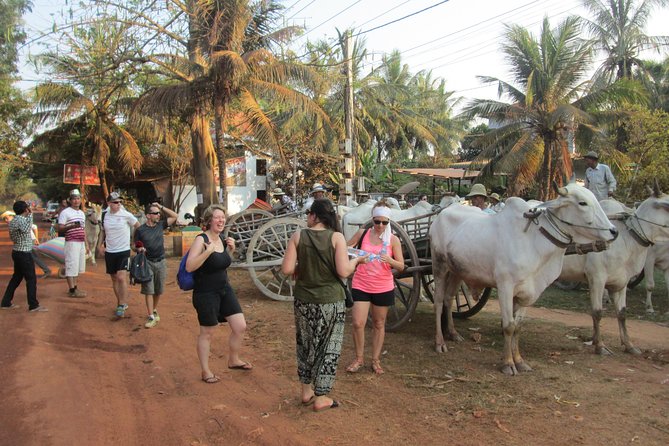 Ox-cart Culture Tour, Countryside Experince in Siem Reap - Location and Accessibility